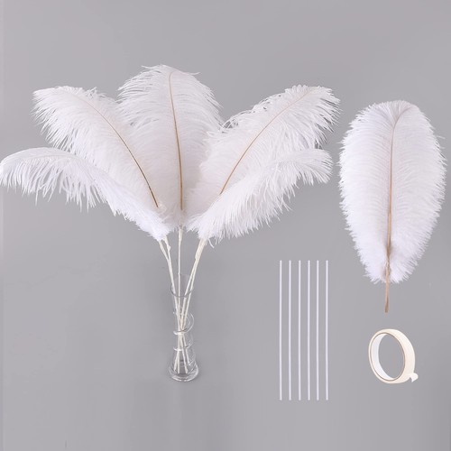 Ballinger white large ostrich - ballinger,