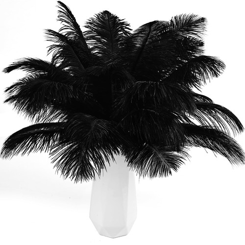 Tharaht black ostrich feathers - ostrich,