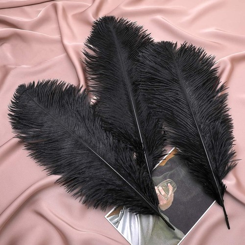 Natural ostrich feathers - ostrich,